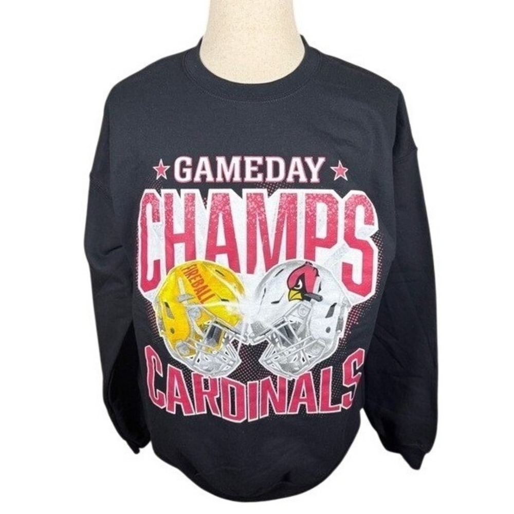 Arizona Cardinals Bird Gang Gameday Champs Gildan‎ Heavy Mens XL Black Sweater